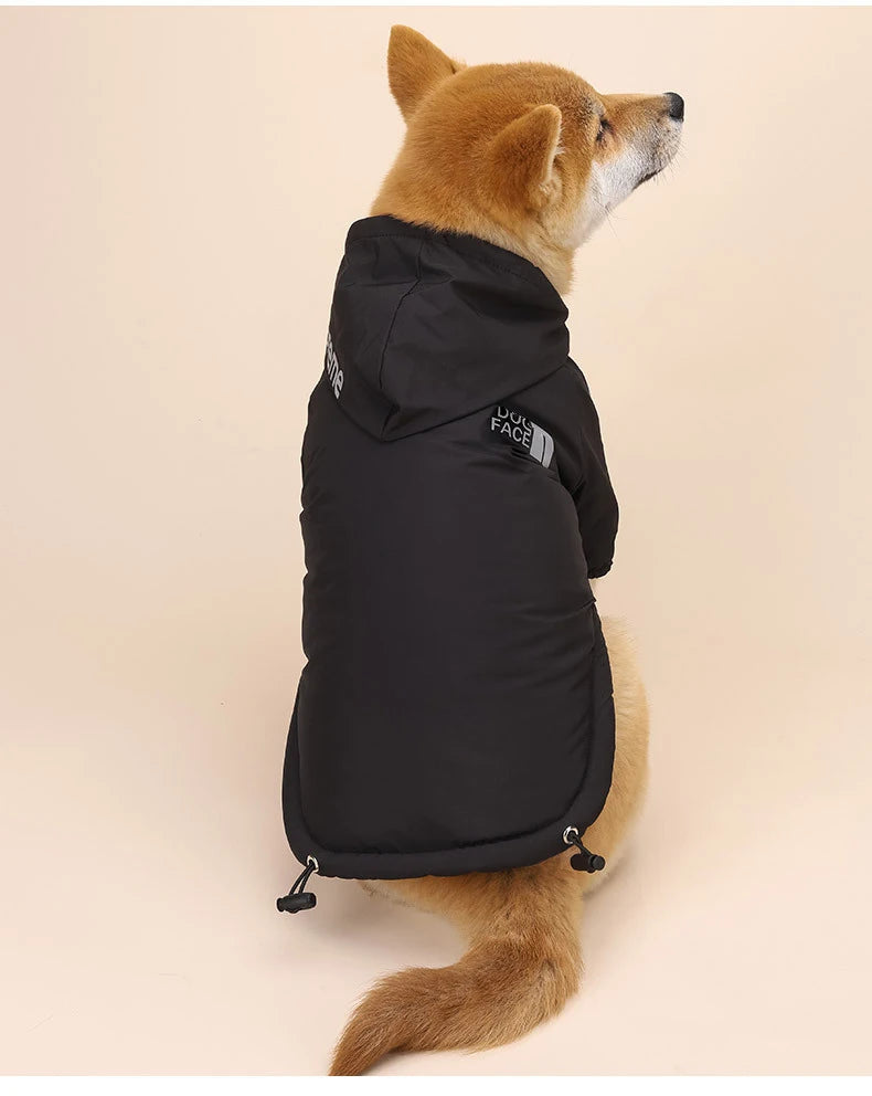 Casaco Impermeável para Cães e Gatos — Quentinho, Impermeável e Refletor, Ideal para Outono e Inverno!