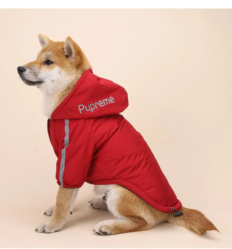 Casaco Impermeável para Cães e Gatos — Quentinho, Impermeável e Refletor, Ideal para Outono e Inverno!