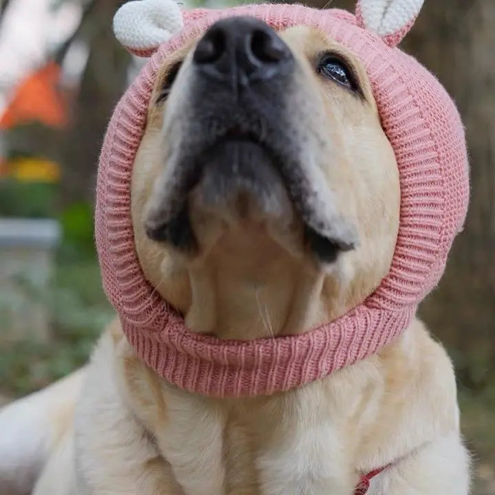 Chapéu de Inverno para Cães com Protetores de Orelhas