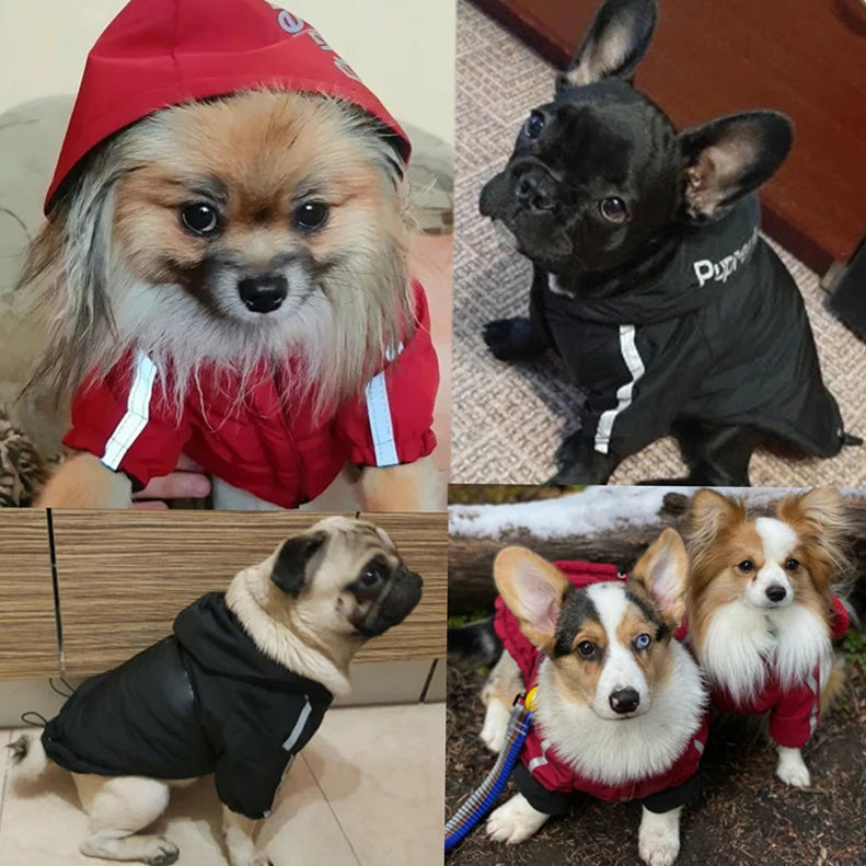 Casaco Impermeável para Cães e Gatos — Quentinho, Impermeável e Refletor, Ideal para Outono e Inverno!