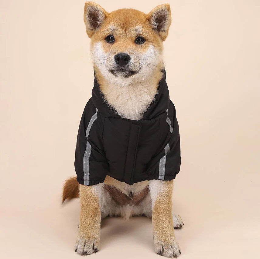 Casaco Impermeável para Cães e Gatos — Quentinho, Impermeável e Refletor, Ideal para Outono e Inverno!