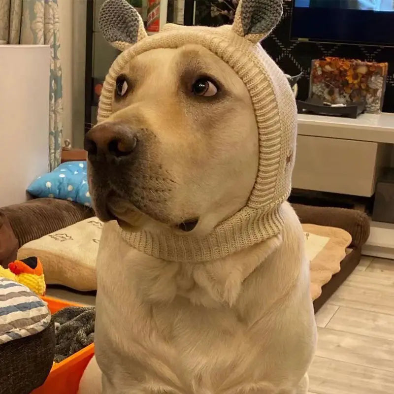 Chapéu de Inverno para Cães com Protetores de Orelhas