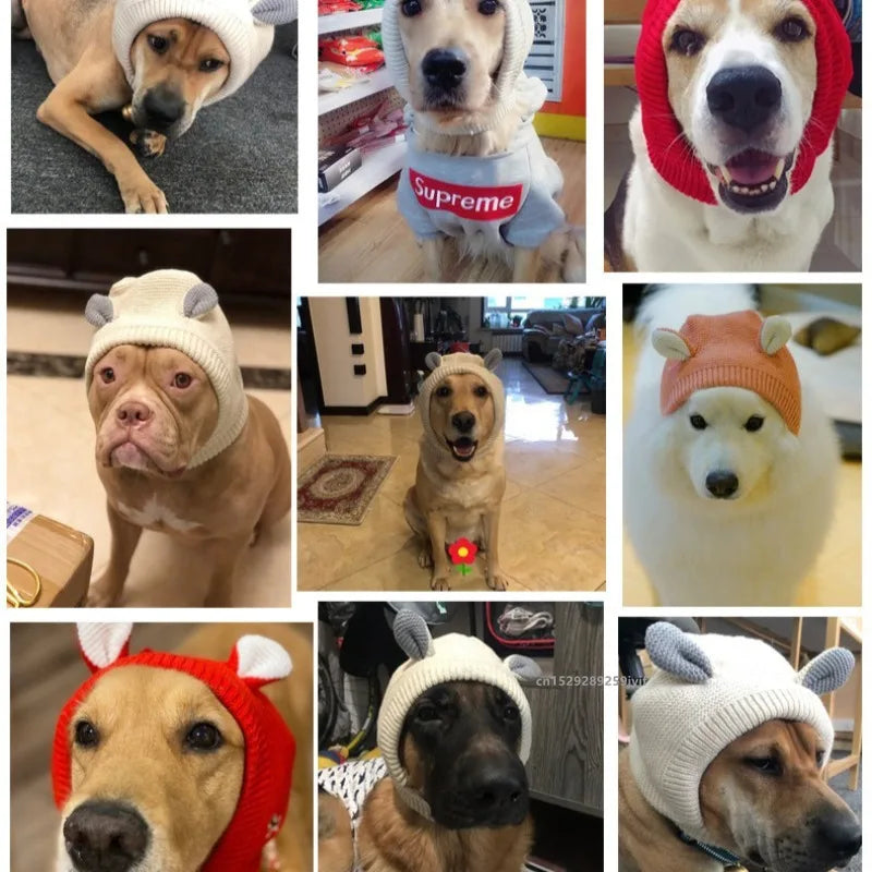 Chapéu de Inverno para Cães com Protetores de Orelhas