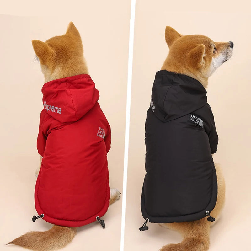Casaco Impermeável para Cães e Gatos — Quentinho, Impermeável e Refletor, Ideal para Outono e Inverno!
