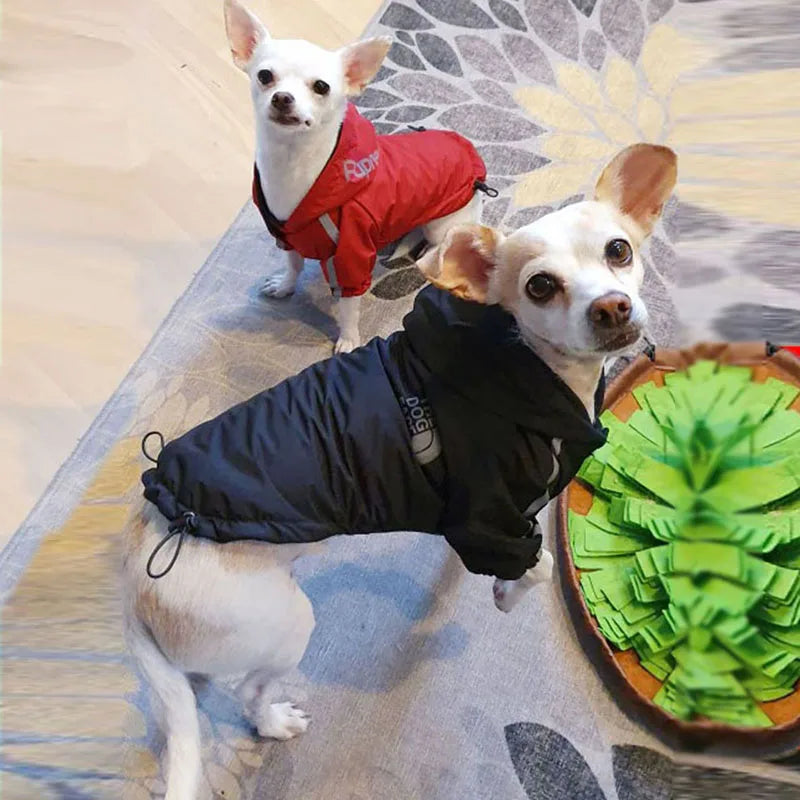 Casaco Impermeável para Cães e Gatos — Quentinho, Impermeável e Refletor, Ideal para Outono e Inverno!