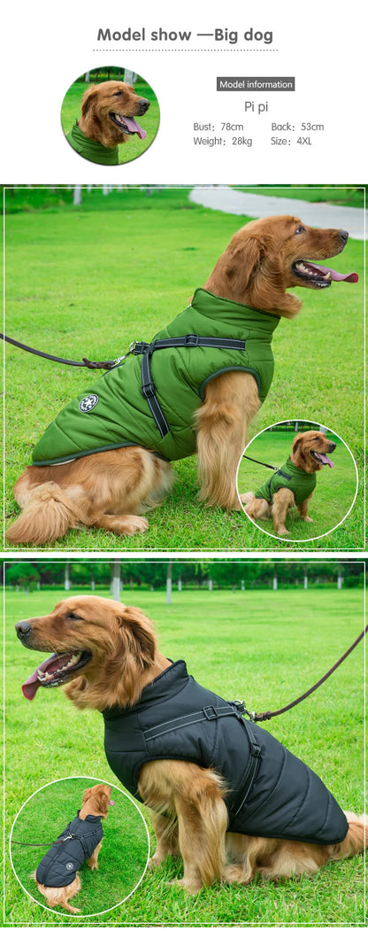 Jaqueta de Inverno Impermeável para Cães com Peitoral - Ideal para Bulldog Francês, Chihuahua