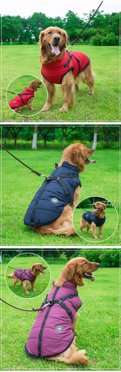 Jaqueta de Inverno Impermeável para Cães com Peitoral - Ideal para Bulldog Francês, Chihuahua