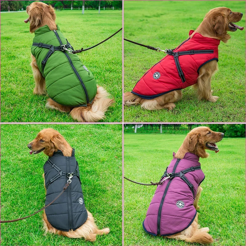 Jaqueta de Inverno Impermeável para Cães com Peitoral - Ideal para Bulldog Francês, Chihuahua