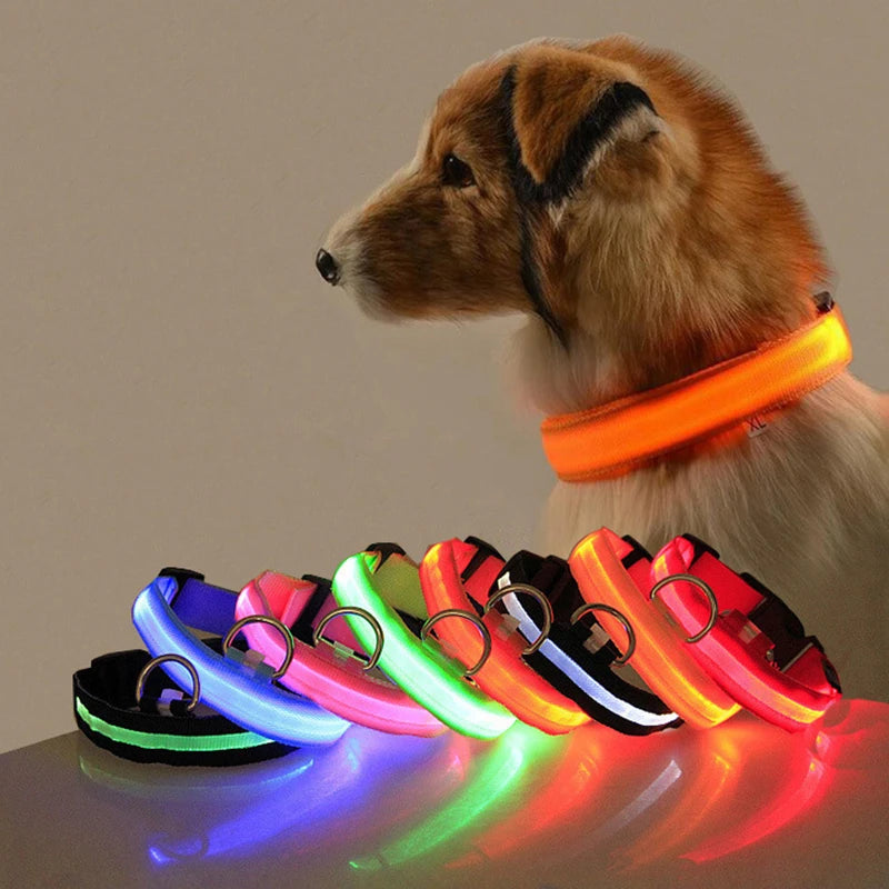 Coleira LED Anti-Perda para Cães - Alta Visibilidade e Segurança Noturna