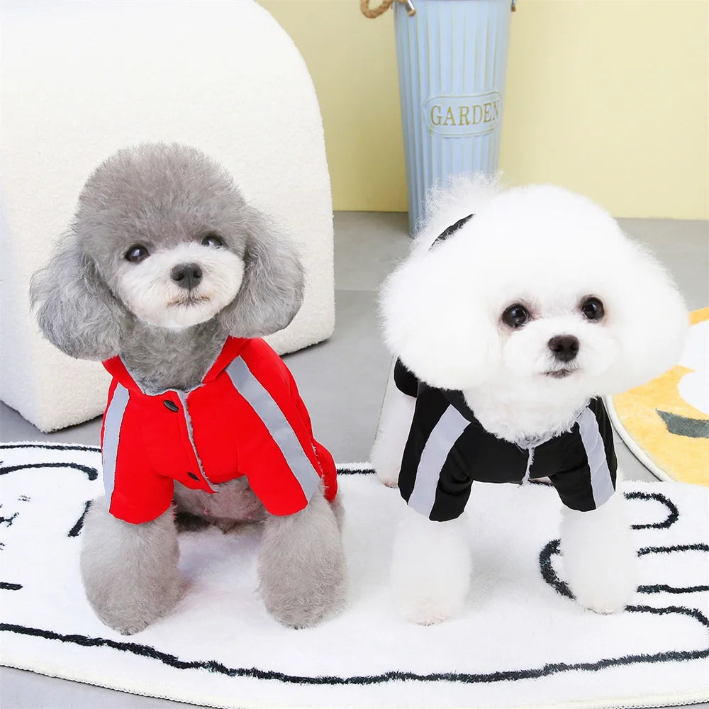 Fato de Inverno Impermeável e Quente para Cães - Roupa Ideal para Chihuahua, Yorkshire e Shih Tzu