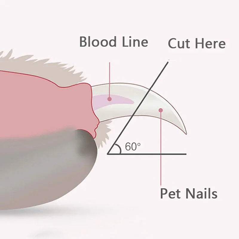 Corta Unhas Profissional para Animais com Luz LED - Precisão e Segurança para Cães, Gatos e Pequenos Animais