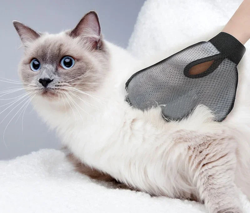 Luva Removedora de Pelos para Gatos e Cães — Remova Pelos Soltos com Conforto e Eficácia!