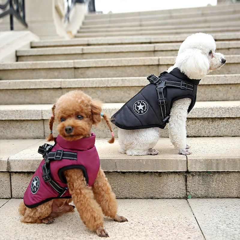 Jaqueta de Inverno Impermeável para Cães com Peitoral - Ideal para Bulldog Francês, Chihuahua