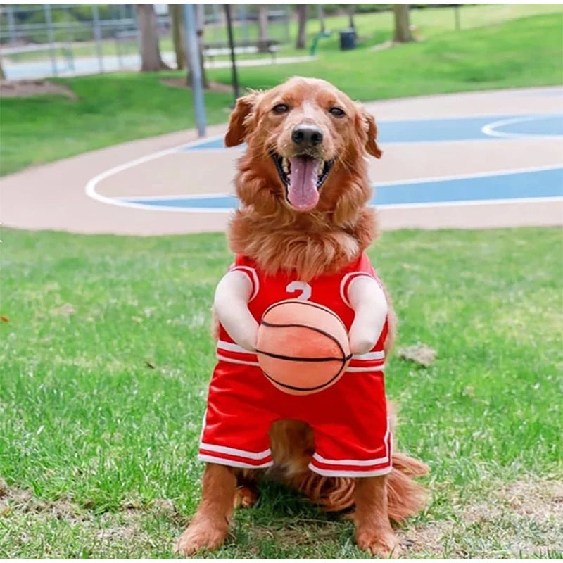 Roupa Divertida para Cães - Bola no Cesto e Estilo na Rua