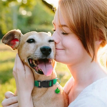 Coleira de Proteção para Cães - Antipulgas, Carraças e Mosquitos para Uso Exterior